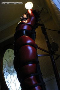 Don't Look at the Light